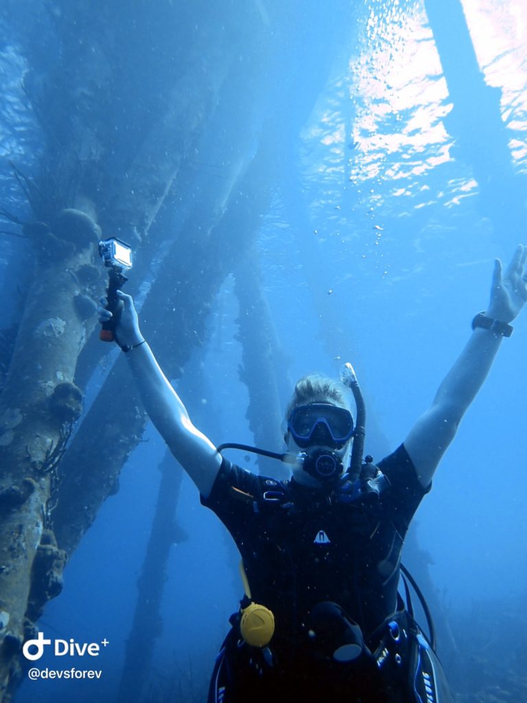 salt pier dive plus
