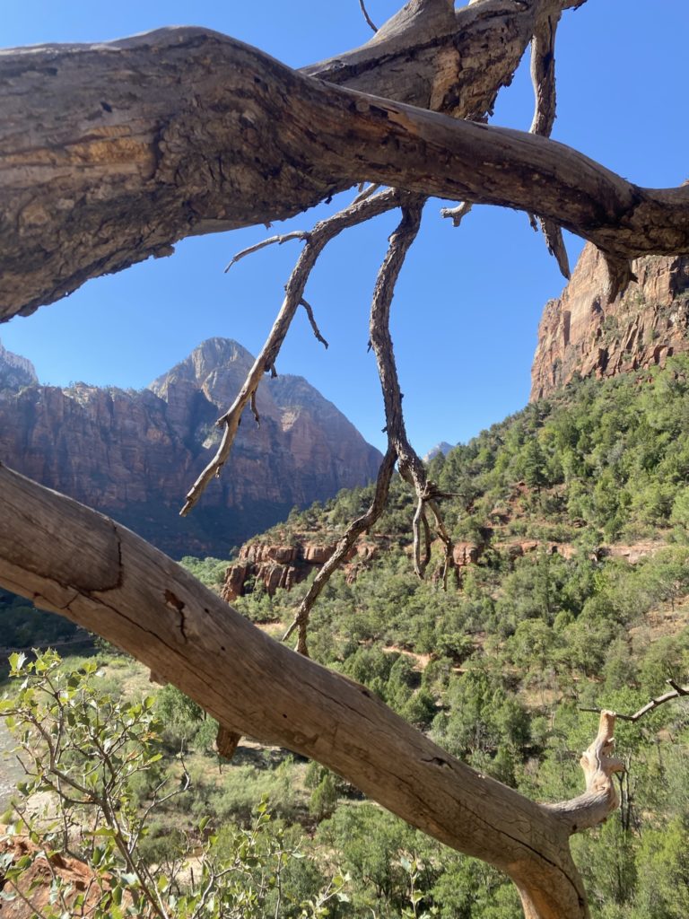 Zion National Park