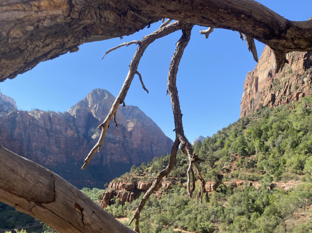 zion emerald pools hike