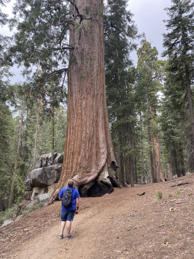 Big Stump Basin in Kings Canyon National Park