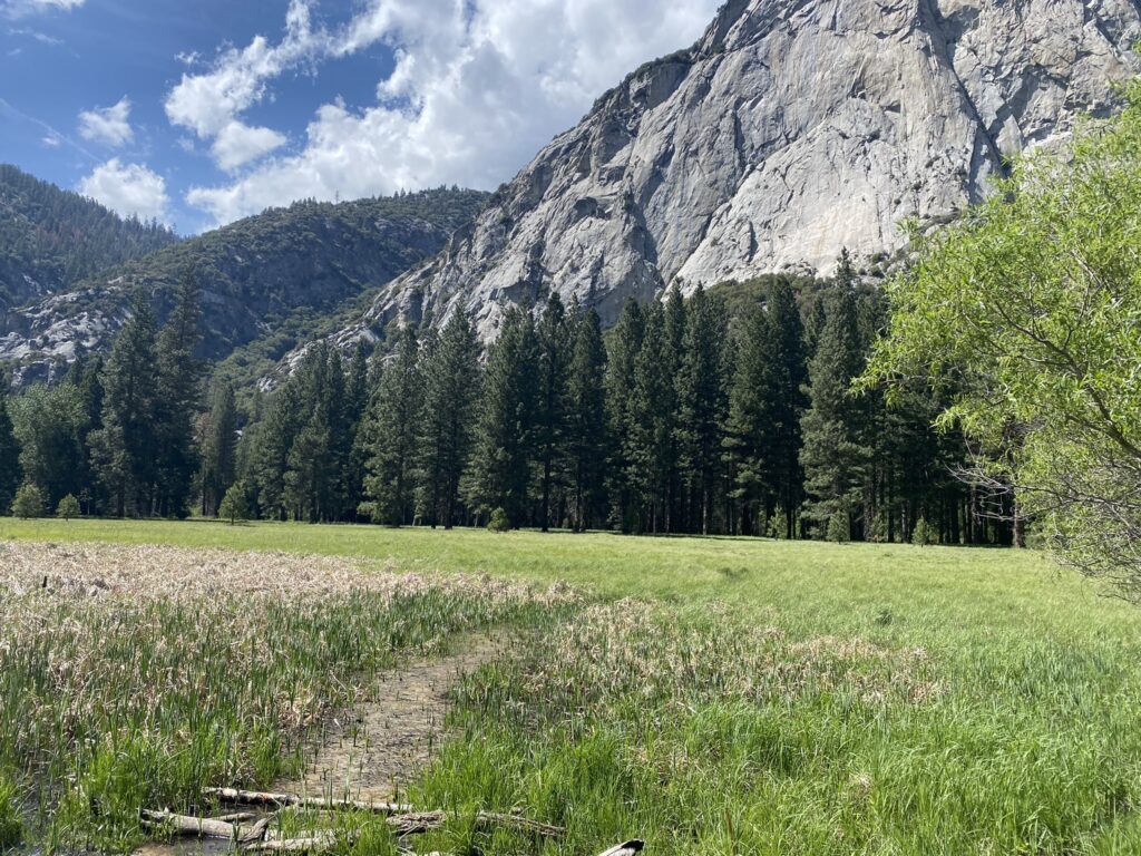 Zumwalt Meadow in Kings Canyon National Park