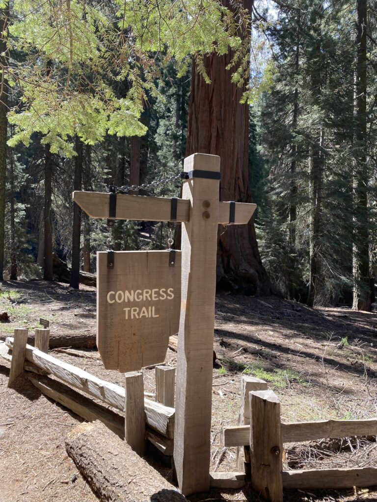 Congress Trail in Sequoia National Park